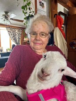 Elderly woman and a pet sheep look at the camera